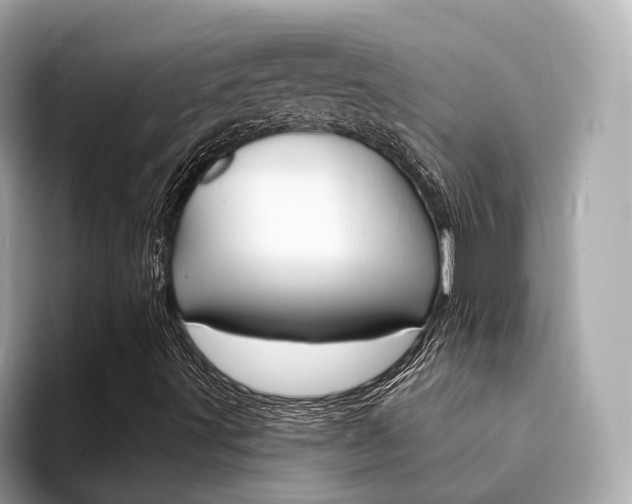 X0000094331491200711021121