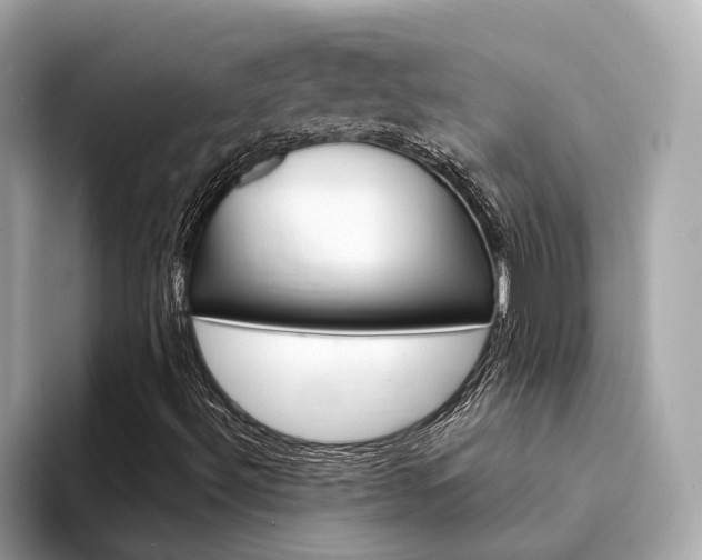 X0000094331492200711021121