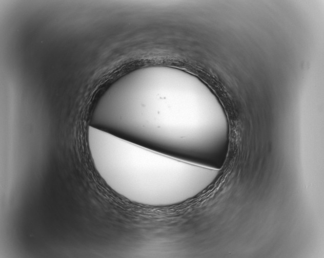 X0000094331493200711021121