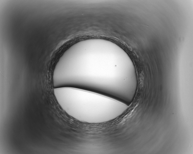 X0000094331494200711021121
