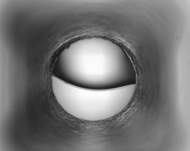 X0000094331496200711021121