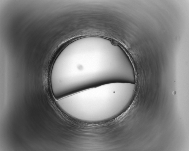 X0000094331499200711021121