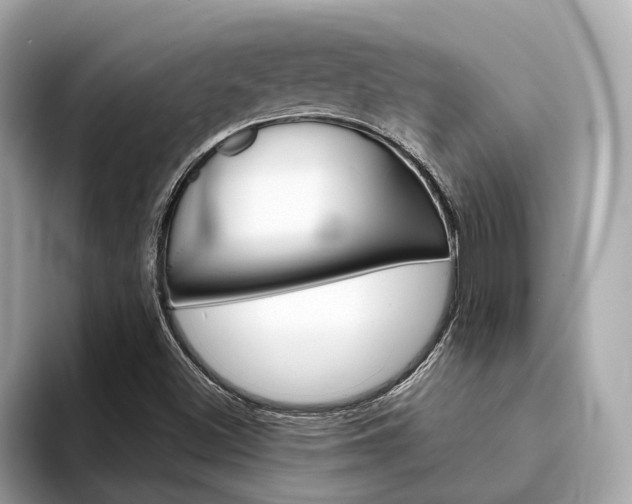 X0000094331500200711021121