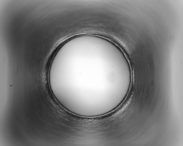 X0000094331501200711021121
