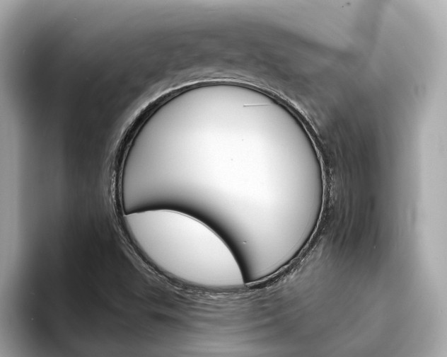 X0000094331503200711021121