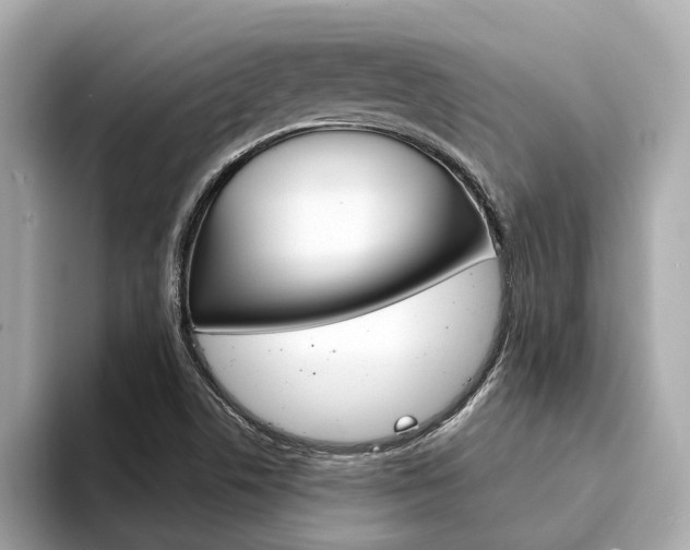 X0000094331506200711021121