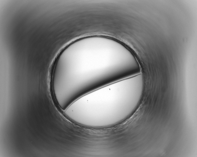 X0000094331508200711021122