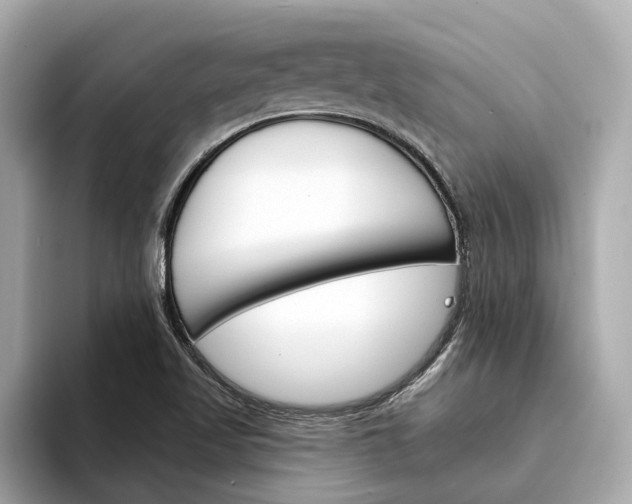 X0000094331509200711021122