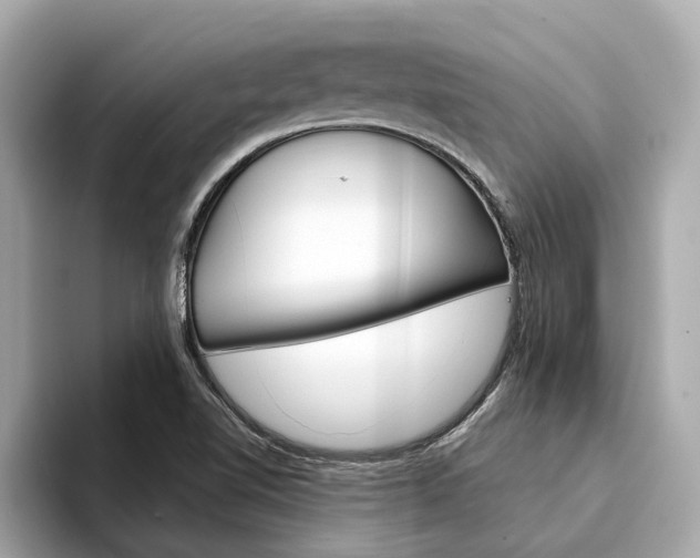 X0000094331510200711021122