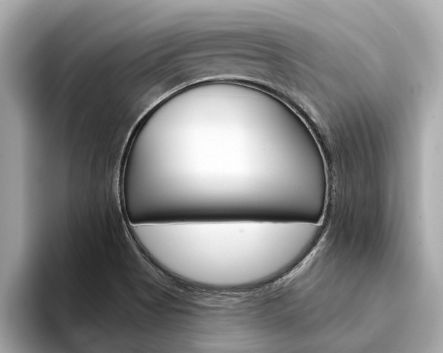 X0000094331513200711021122