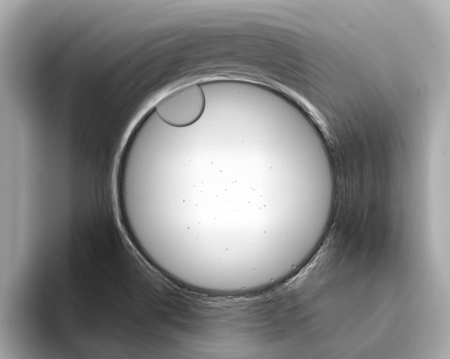 X0000094331514200711021122