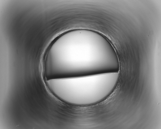 X0000094331515200711021122