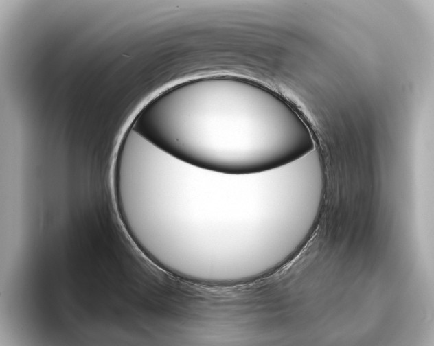 X0000094331516200711021122