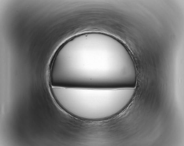 X0000094331519200711021122