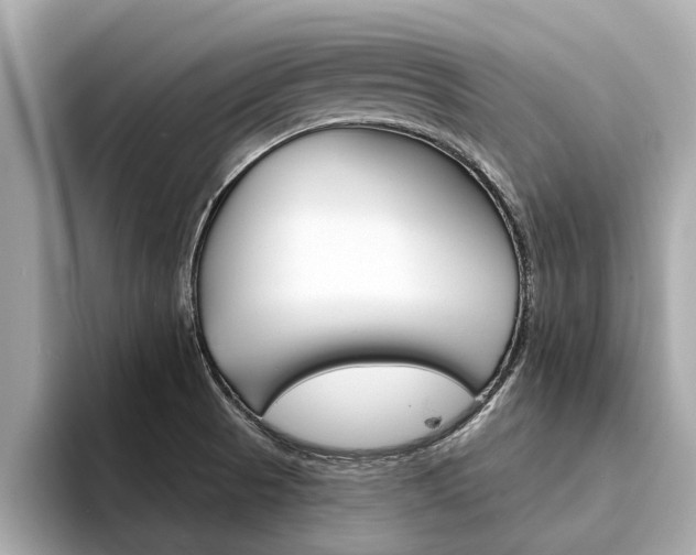 X0000094331521200711021122