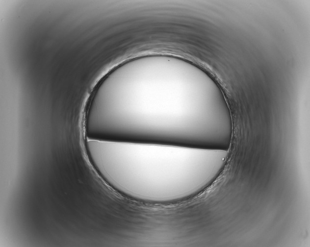 X0000094331522200711021122
