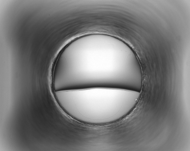 X0000094331523200711021122