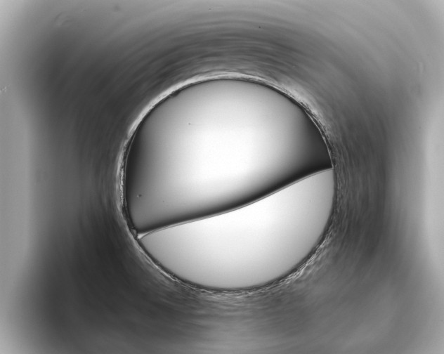 X0000094331524200711021122