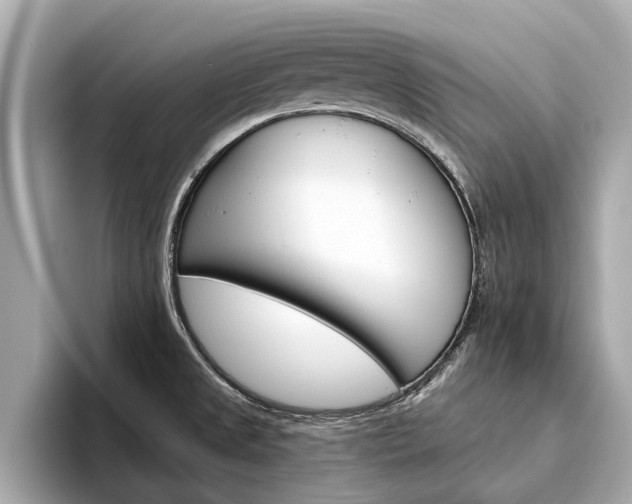 X0000094331525200711021122