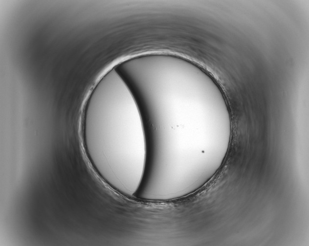 X0000094331526200711021122