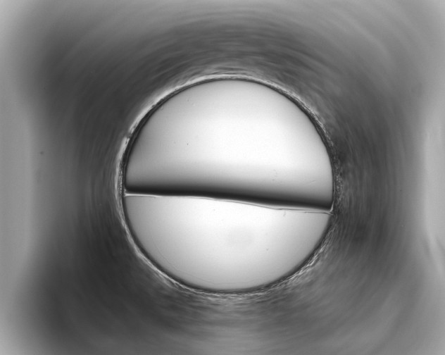 X0000094331527200711021122