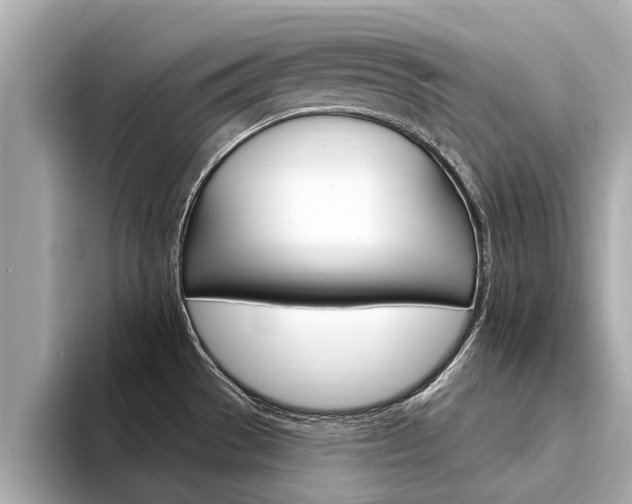 X0000094331529200711021122