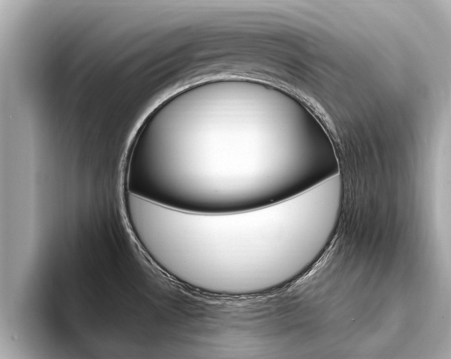 X0000094331530200711021122