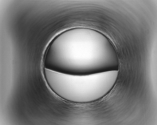 X0000094331531200711021122
