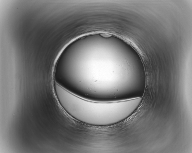 X0000094331532200711021122