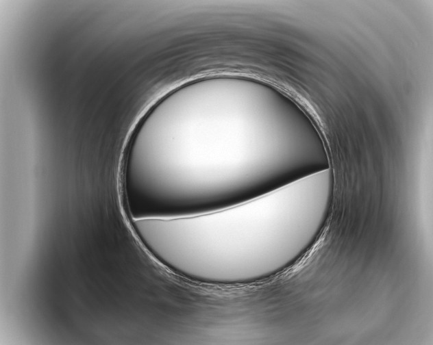 X0000094331533200711021122