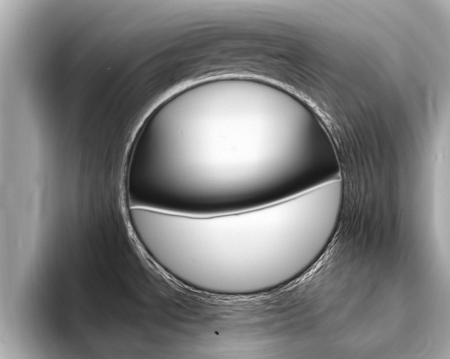 X0000094331534200711021122