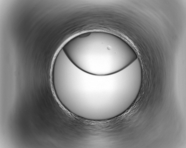 X0000094331536200711021122