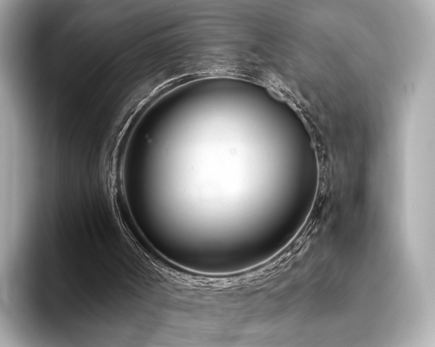 X0000094330002200711021418