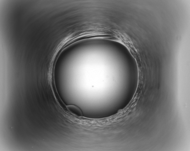 X0000094330003200711021418