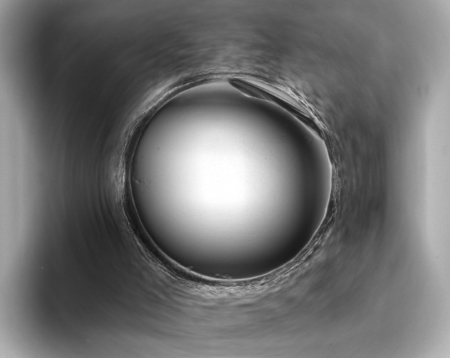 X0000094330005200711021418