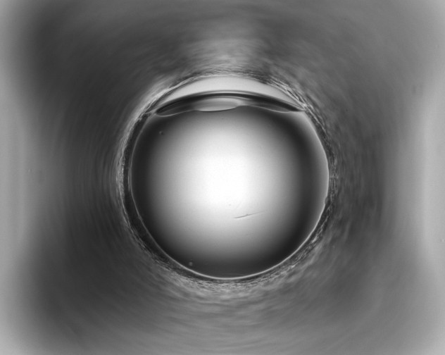 X0000094330006200711021418