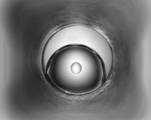 X0000094330007200711021418