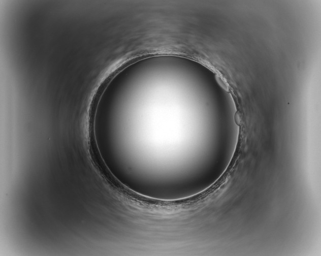 X0000094330008200711021418