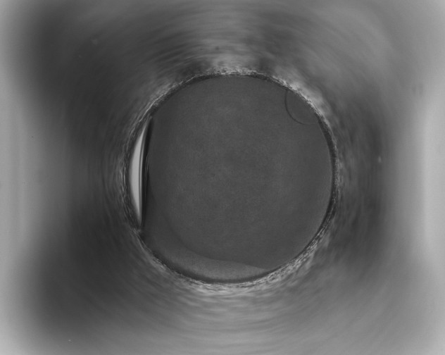 X0000094330009200711021418