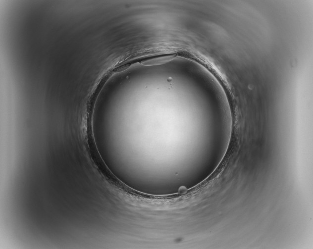 X0000094330010200711021418