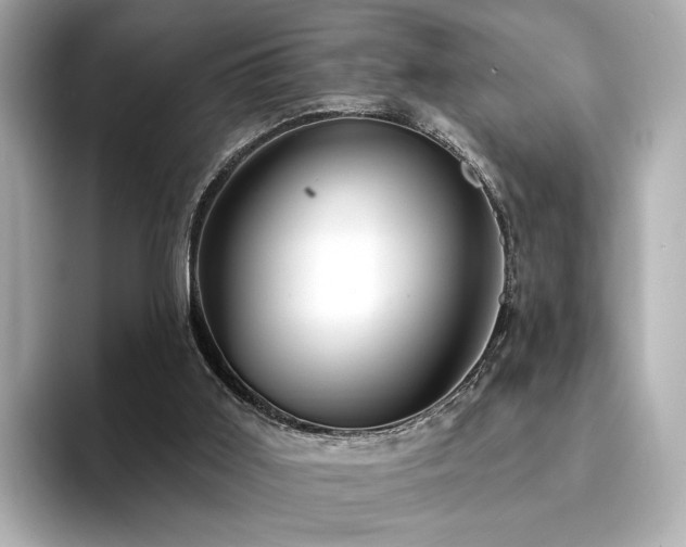 X0000094330011200711021418