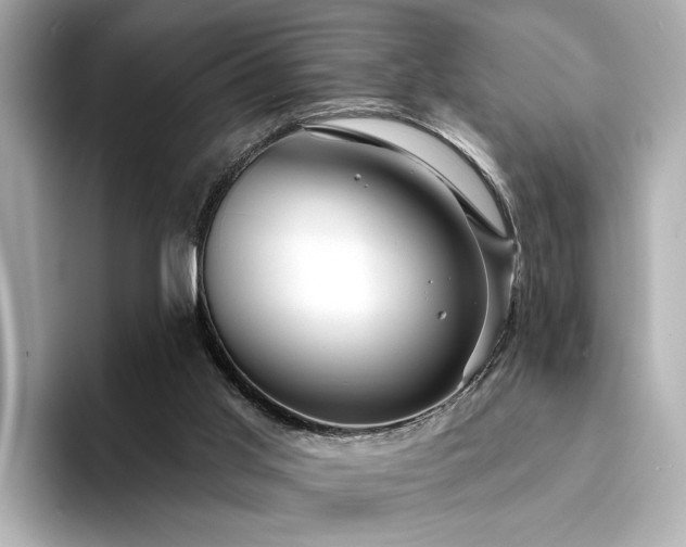 X0000094330013200711021418