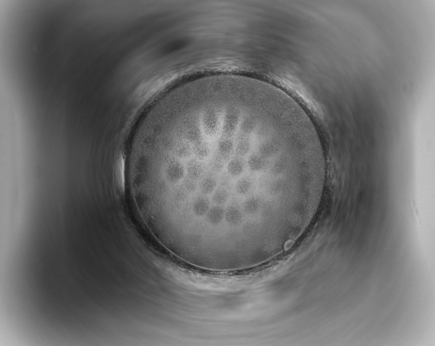 X0000094330014200711021418