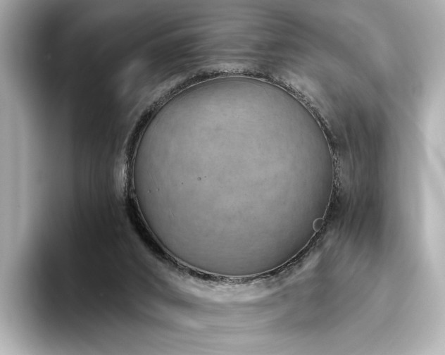 X0000094330016200711021418