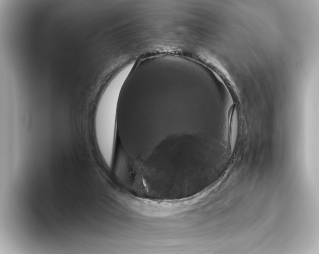 X0000094330019200711021418