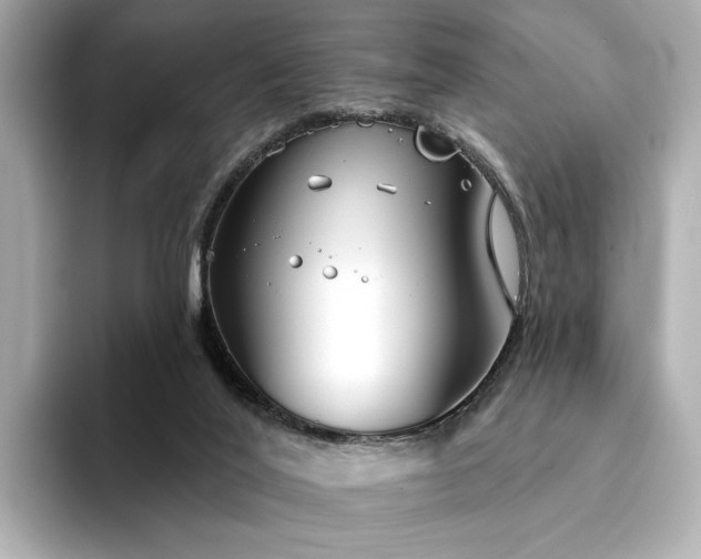 X0000094330020200711021418