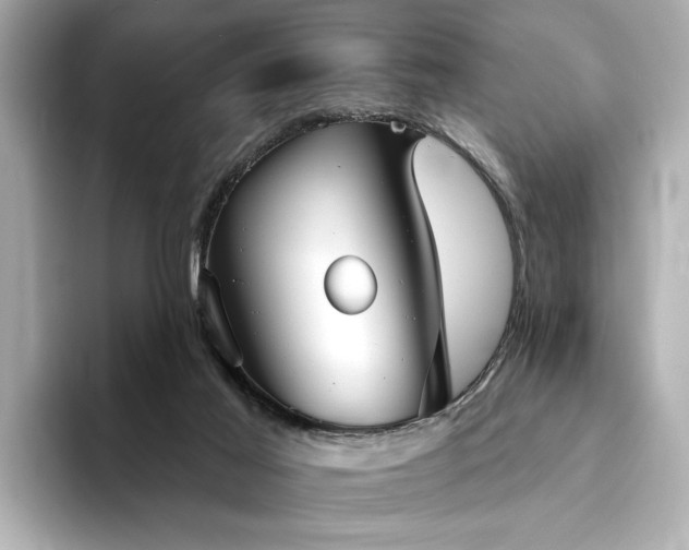X0000094330021200711021418