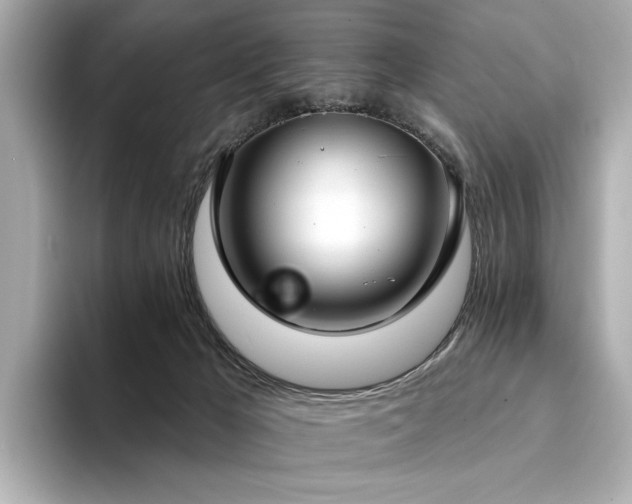 X0000094330029200711021418