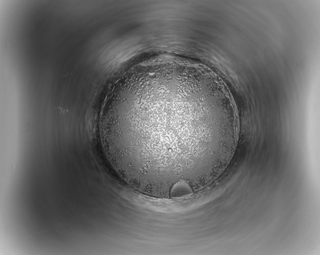 X0000094330030200711021418
