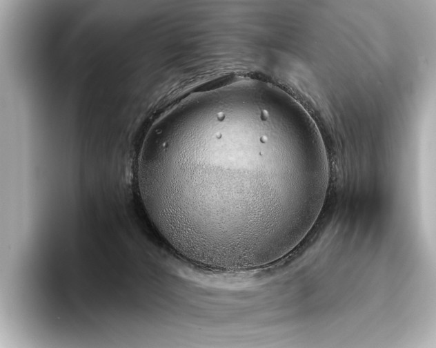 X0000094330032200711021418